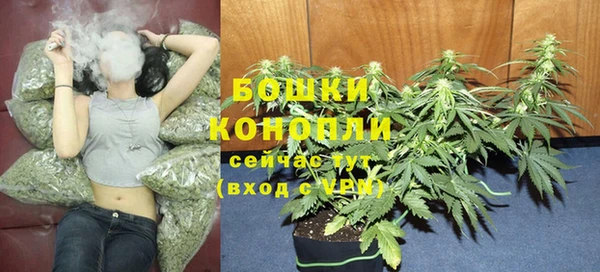 крисы Аркадак