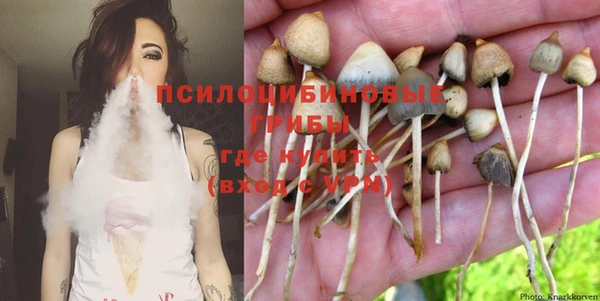 крисы Аркадак