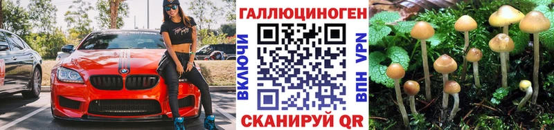 Галлюциногенные грибы Cubensis  Ливны 